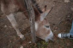 K1024_Weinwanderung-MM-32