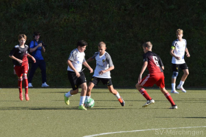 C-Jgd Freundschaftsspiel SVM - SG FC Walhausen I  (26.10.24)